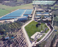 行業(yè)動態(tài)